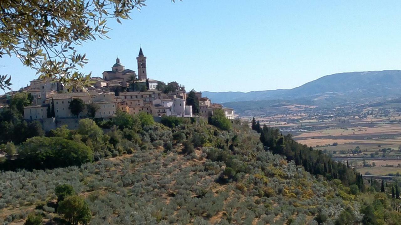 Villa L'Oliveto Trevi Exterior foto